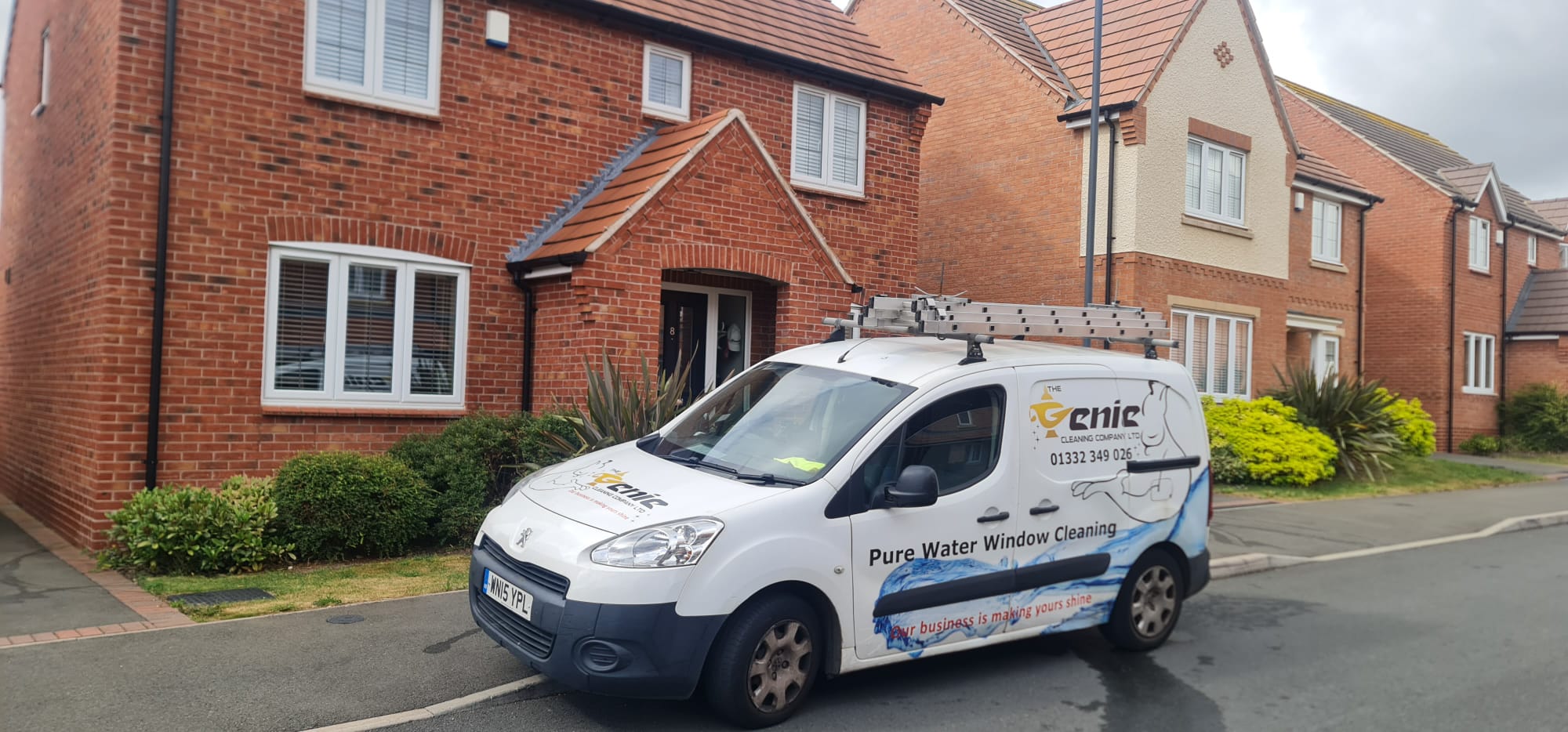 Professional window cleaning service